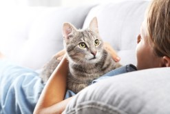 Understanding Your Commitment: Questions Before Adopting a Pet