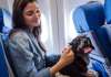 How to Recognize and Manage Travel-Induced Stress in Pets